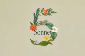 Anthropic recorta la distancia entre Sonnet y Opus con el lanzamiento de Claude Sonnet 5