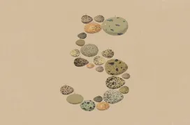 Anthropic presenta Claude Opus 5 y promete casi el rendimiento de su modelo insignia a mitad de precio