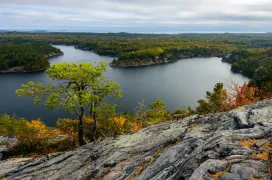 Google Maps renombra el lago Ontario a lago América en Estados Unidos siguiendo el criterio de la Casa Blanca