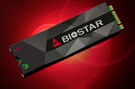 Biostar lanza sus primeros SSD NVMe a un precio asequible