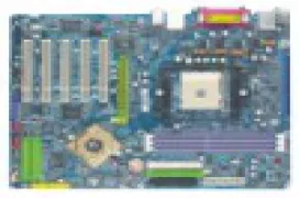 AMD 64 sobre GA-K8NNXP de Gigabyte