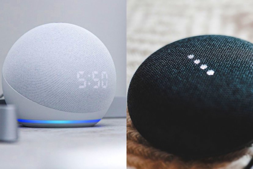 Google home best sale or alexa echo