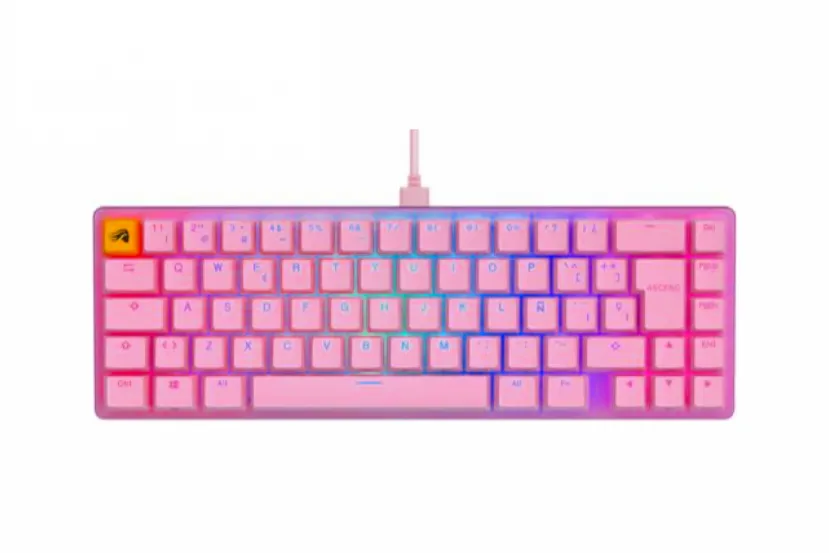 Las ofertas para Hoy incluyen este teclado Glorious GMMK 2 Compact Rosa por 39,80, memorias DDR5, ratones baratos y más