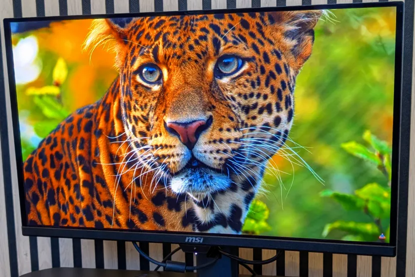 MSI MPG 271QR QD-OLED X50 Review