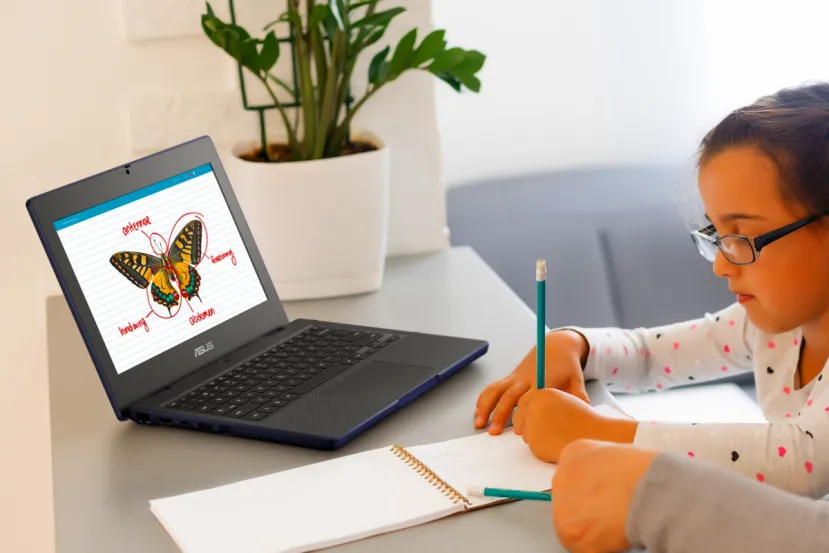 Nuevos ASUS Chromebook CZ Series, CPU MediaTek Kompanio 540 y hasta 19 horas de batería