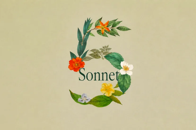 Anthropic recorta la distancia entre Sonnet y Opus con el lanzamiento de Claude Sonnet 5