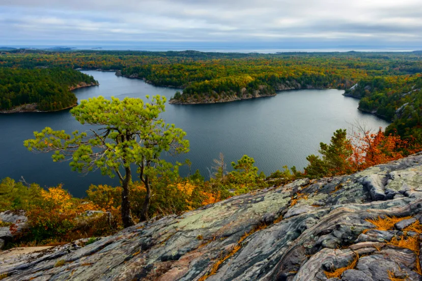 Google Maps renombra el lago Ontario a lago América en Estados Unidos siguiendo el criterio de la Casa Blanca