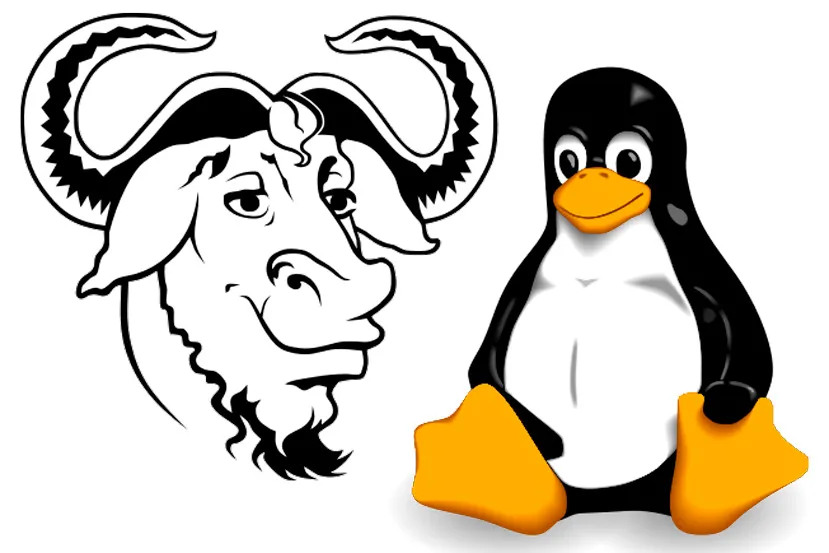 ¿Qué es Linux y para qué sirve?