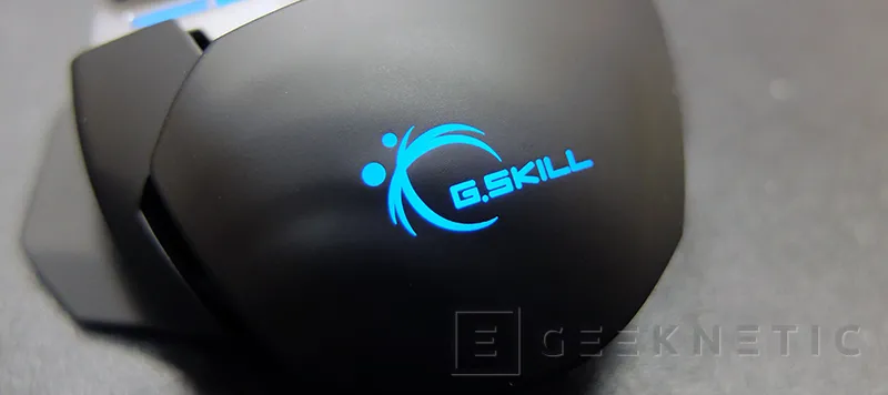 Geeknetic G.Skill RipJaws MX780 RGB 19