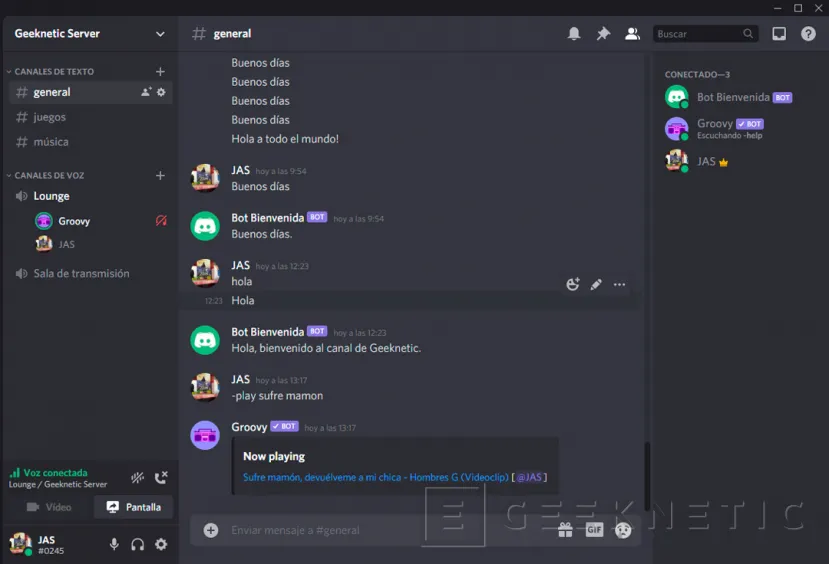 Geeknetic Bots de Discord: cómo crearlos y configurarlos 30