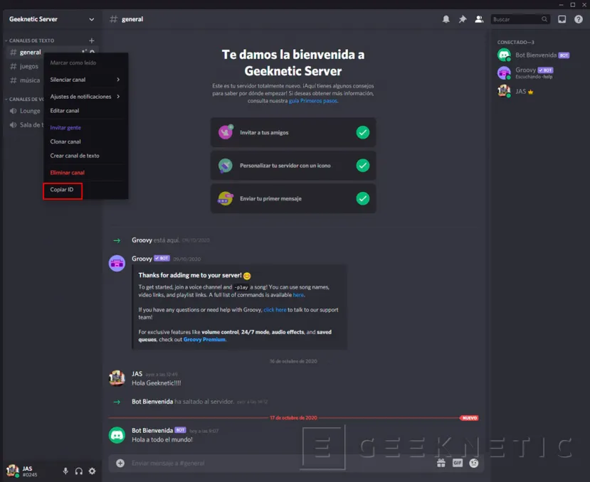 Geeknetic Bots de Discord: cómo crearlos y configurarlos 26