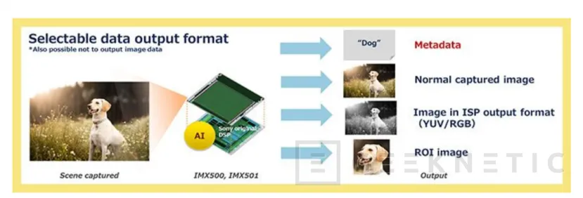 Geeknetic Microsoft integrará funciones de Azure AI en los sensores fotográficos Sony IMX500 2