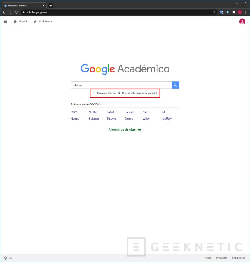 Geeknetic Google Scholar: cómo usar el buscador académico de Google 4