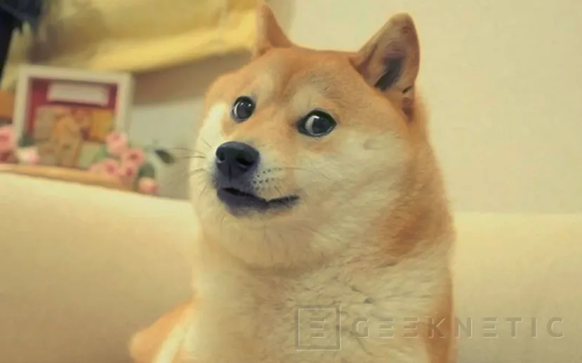 Geeknetic Shiba Inu: Todo sobre la criptomoneda meme que compite con Dogecoin 2