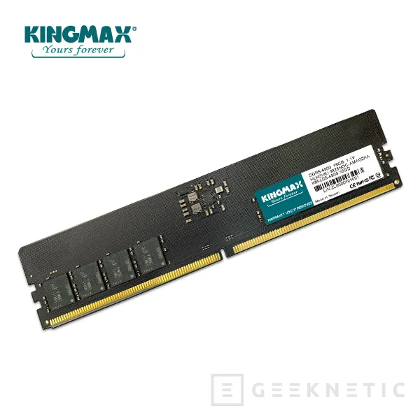Geeknetic Kingmax lanza su memoria DDR5 en capacidades de 8, 16 y 32 GB con velocidades de 4800 y 5200 MHz 1