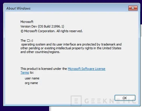 Geeknetic Filtrada la primera imagen ISO de Windows 11 3