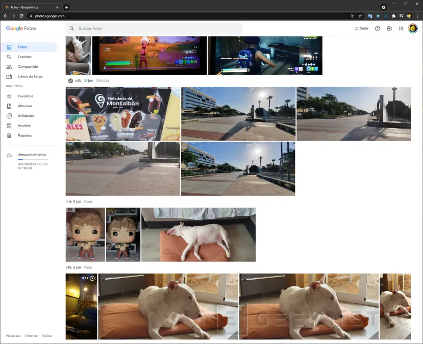 Geeknetic Google Fotos: Cómo descargar todas tus fotos 3