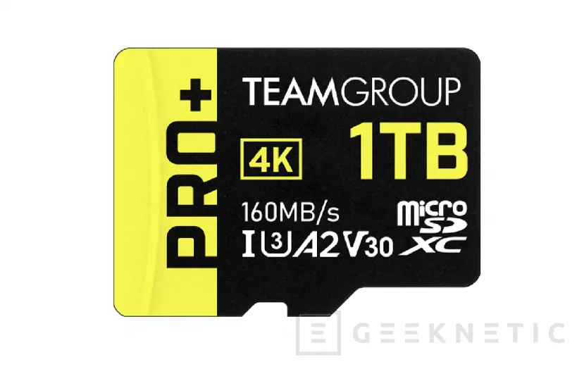 Geeknetic Nuevas tarjetas TeamGroup Pro+ MicroSDXC UHS-1 U3 A2 V30 con hasta 160 MB/s 2