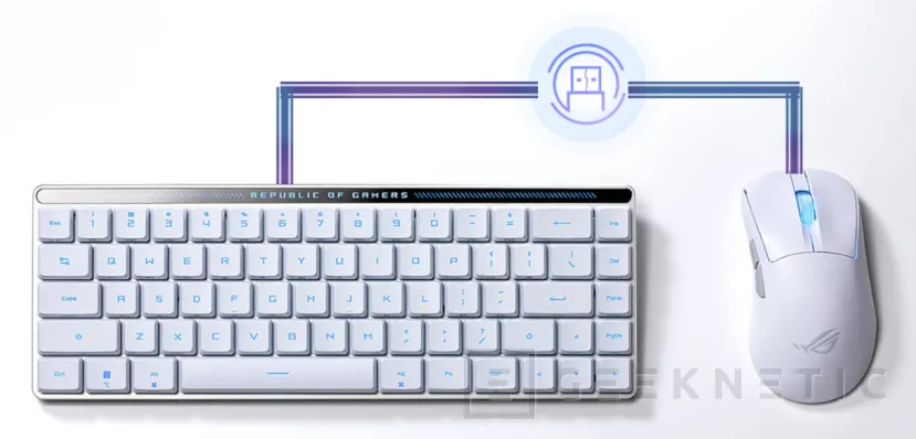 Geeknetic Nuevo teclado inalámbrico ASUS ROG Falchion RX con interruptores ópticos y formato TKL 65% 4