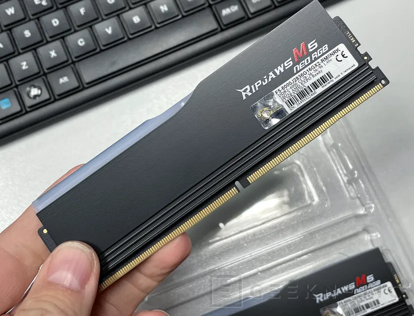 Geeknetic G.Skill Ripjaws M5 Neo RGB DDR5-6000 CL28 Review 6