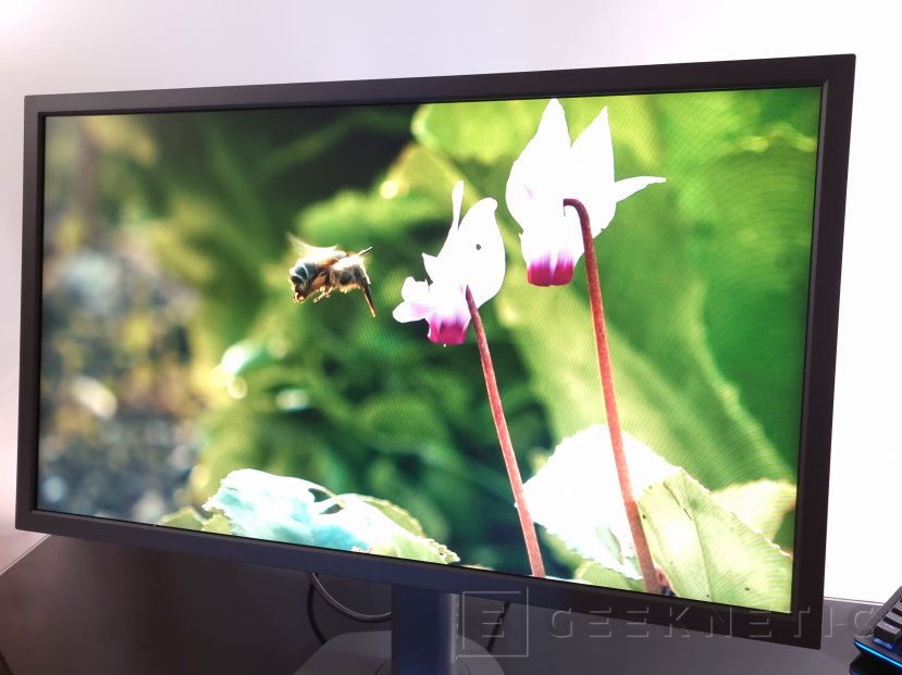 BenQ ZOWIE XL2546X Review