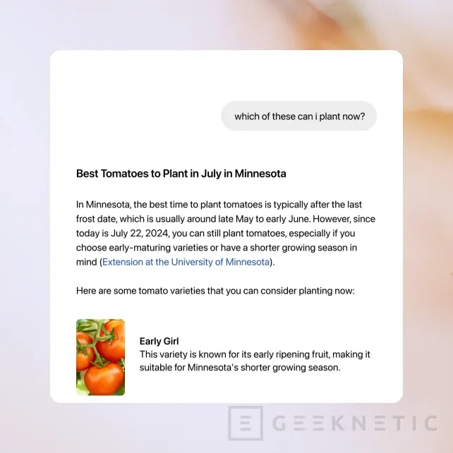 Geeknetic SearchGPT: qué es y cómo apuntarse a la lista de espera 4