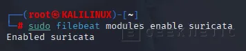 Geeknetic Cómo detectar ataques de red con Suricata en Elastic Search 7