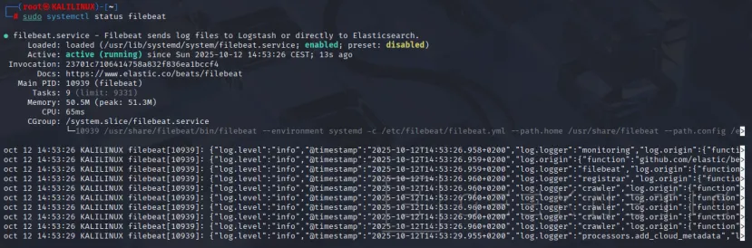 Geeknetic Cómo detectar ataques de red con Suricata en Elastic Search 6