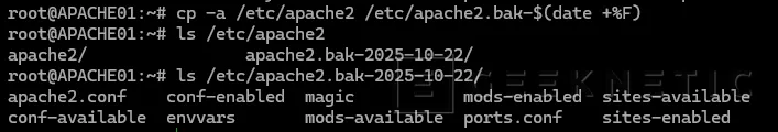 Geeknetic Cómo proteger Apache: Configuraciones clave de Ciberseguridad 2