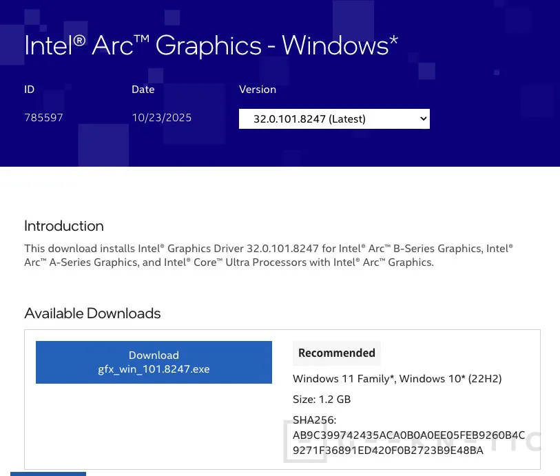 Geeknetic Intel refina sus GPU Arc con la beta 101.8247, mejor estabilidad en Satisfactory y Dragonflight, y soporte previo para Arc Raiders y Bloodlines 2 1