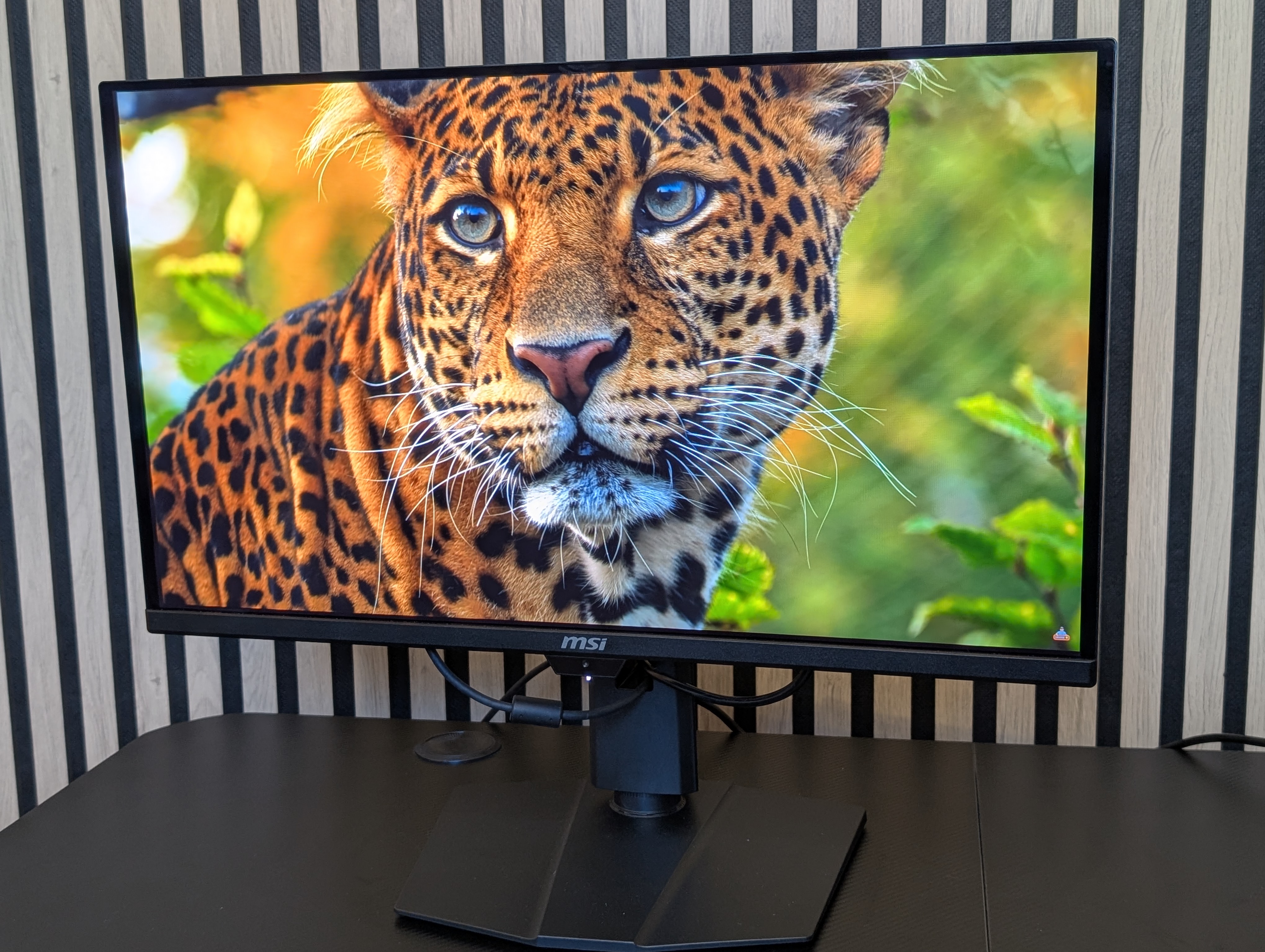 Geeknetic Los 10 Mejores Monitores Gaming 2