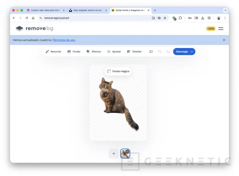 Geeknetic Cómo crear modelos 3D con cualquier foto gracias a Copilot 5