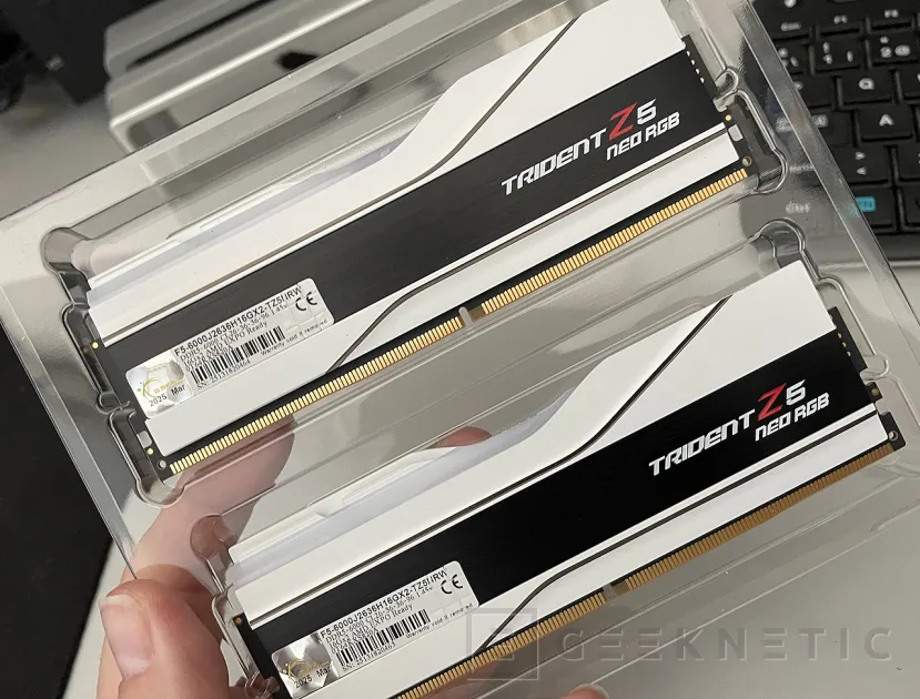 Geeknetic G.Skill Trident Z5 Neo RGB DDR5-6000 CL26 Review 5