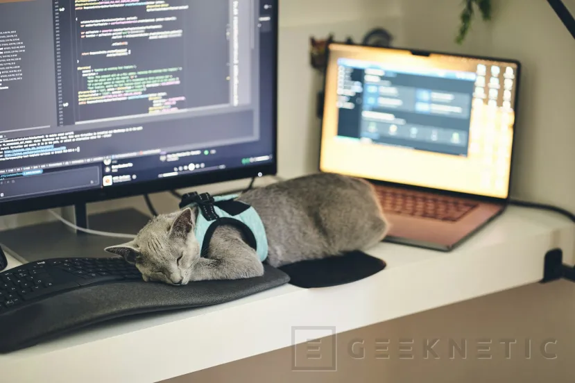 Geeknetic Vibe Coding: Ventajas y Desventajas de Programar Aplicaciones con la ayuda de la IA 1
