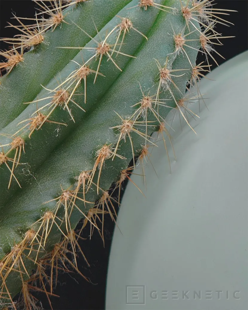 Geeknetic El Nothing Phone (3) queda al descubierto: especificaciones filtradas y muestras fotográficas de su modo macro 3