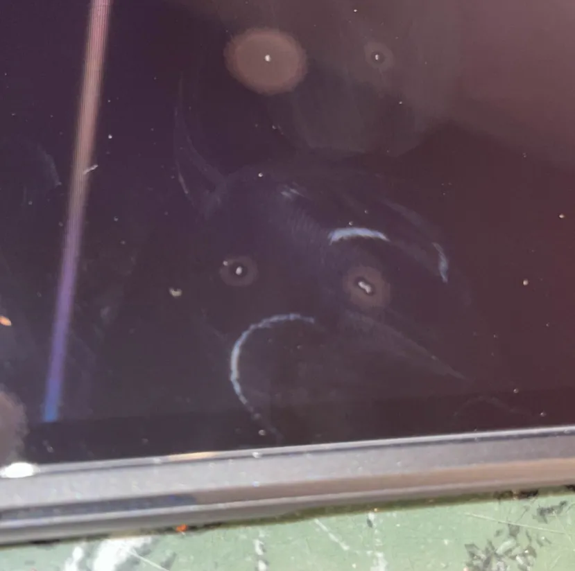 Geeknetic El embalaje de la Nintendo Switch 2 es tan fino que una simple grapa puede dañar su pantalla. Ya hay varios afectados 5