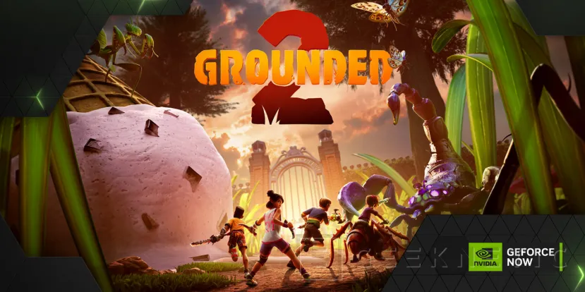 Geeknetic GeForce NOW arranca agosto con Grounded 2 en la nube, Genshin Impact 5.8 y más de 15 nuevos juegos confirmados 1