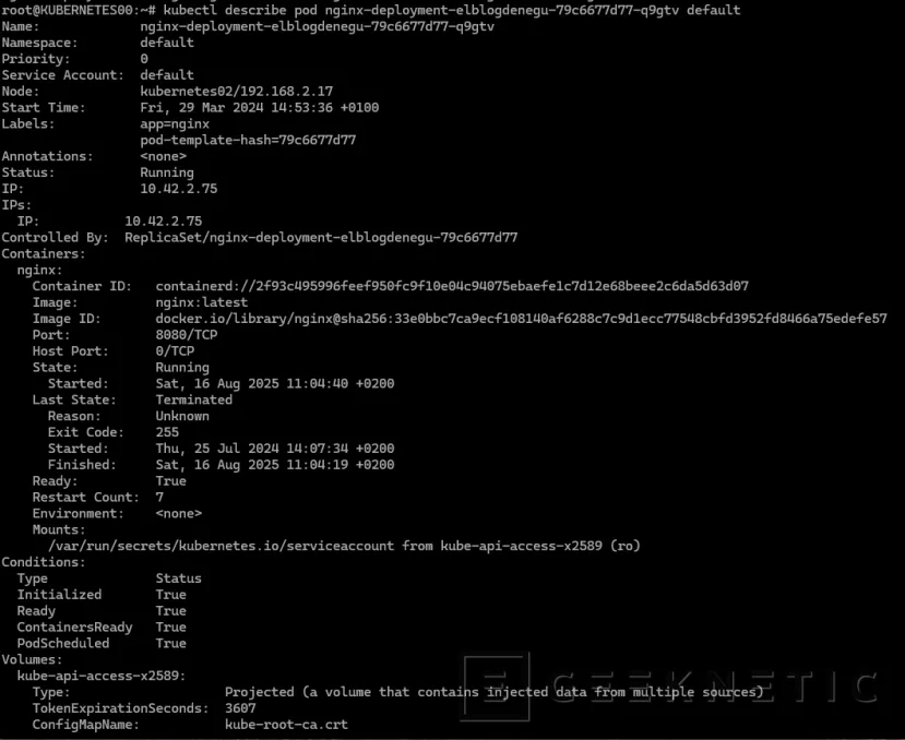 Geeknetic Gestión básica de un clúster Kubernetes: ¿Cómo sé si todo funciona bien? 3