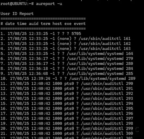 Geeknetic Mejora la Ciberseguridad de tus Sistemas Linux con Audit 15
