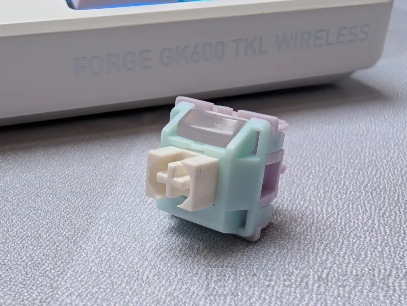 Geeknetic MSI FORGE GK600 TKL Wireless Review 11