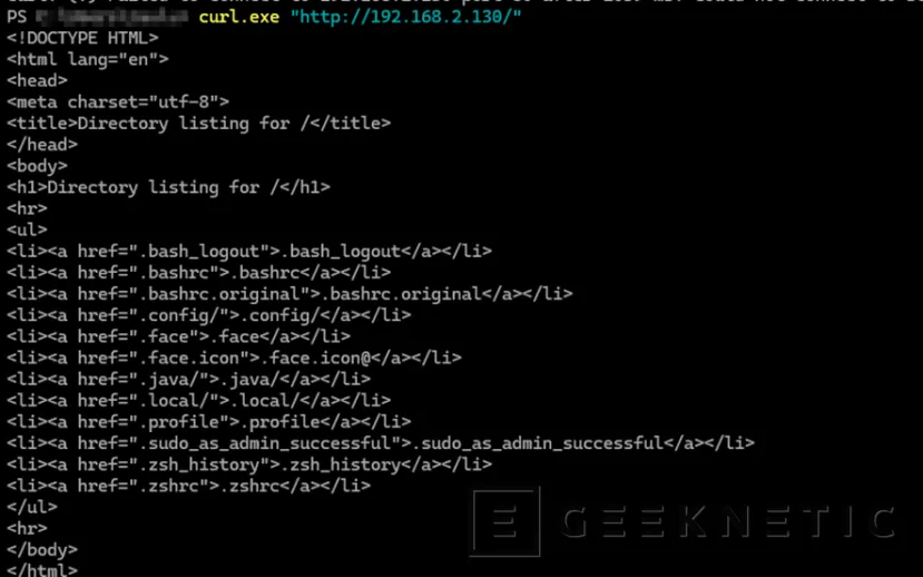 Geeknetic Raspberry Pi como Sistema de Detección de Intrusos con Suricata, la opción económica para PYMEs 13