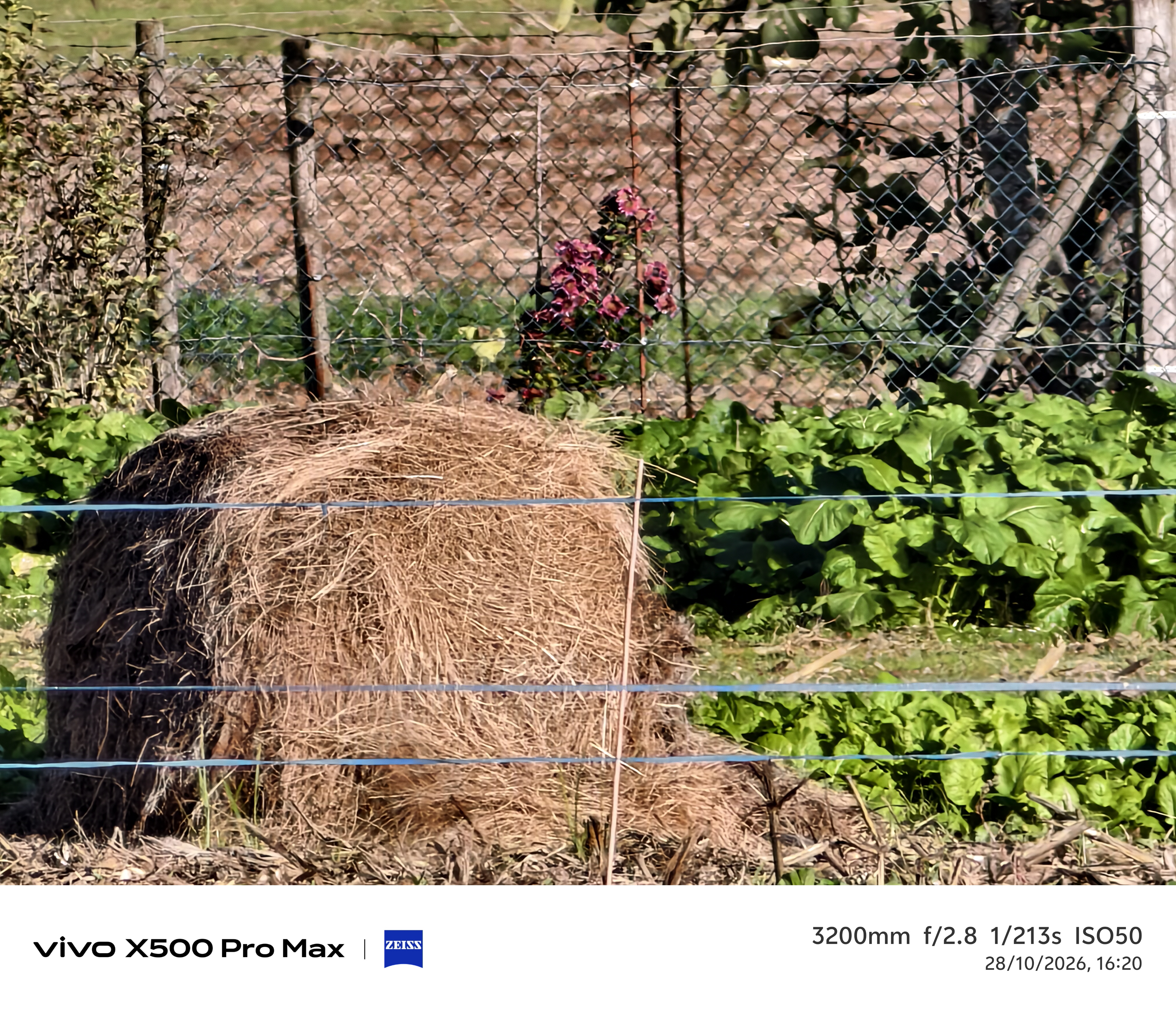 Geeknetic Vivo X500 Pro Max Review: un portento en fotografía con teleobjetivos Zeiss intercambiables que lleva la cámara móvil a otro nivel 101