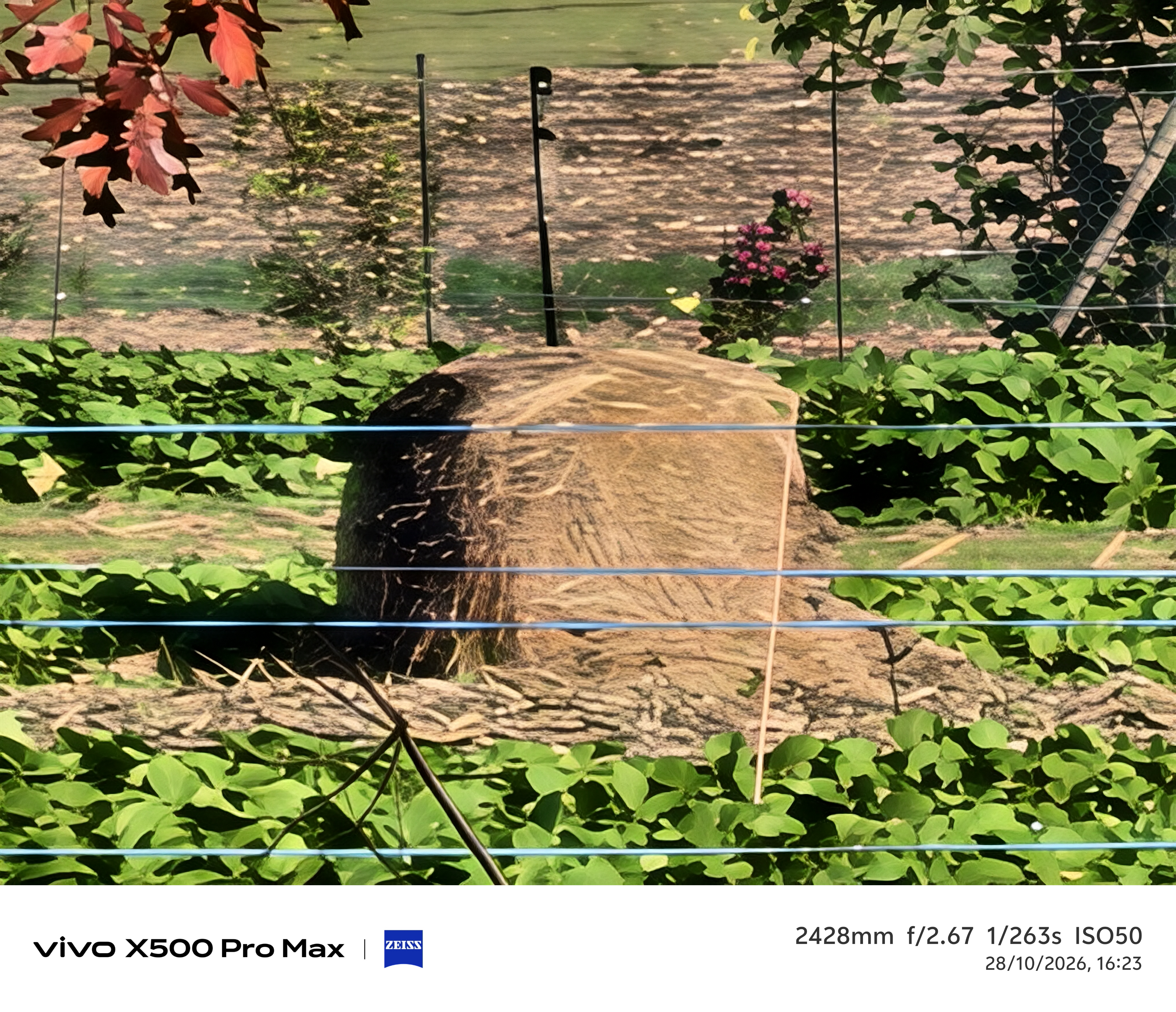 Geeknetic Vivo X500 Pro Max Review: un portento en fotografía con teleobjetivos Zeiss intercambiables que lleva la cámara móvil a otro nivel 96