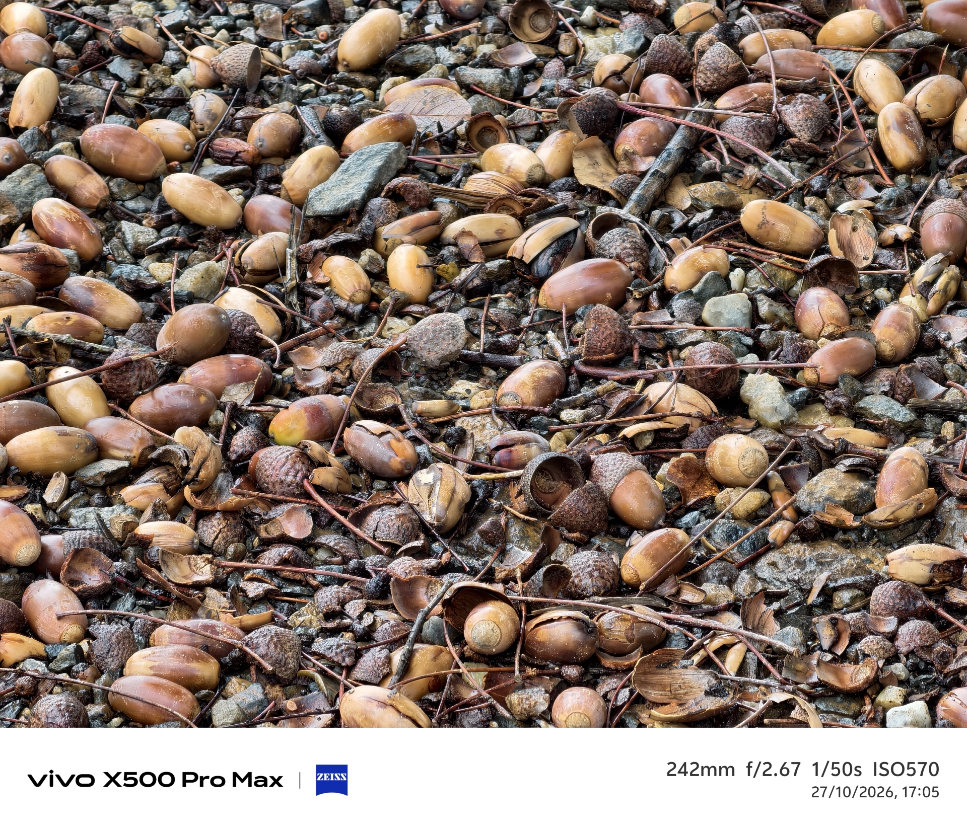 Geeknetic Vivo X500 Pro Max Review: un portento en fotografía con teleobjetivos Zeiss intercambiables que lleva la cámara móvil a otro nivel 45