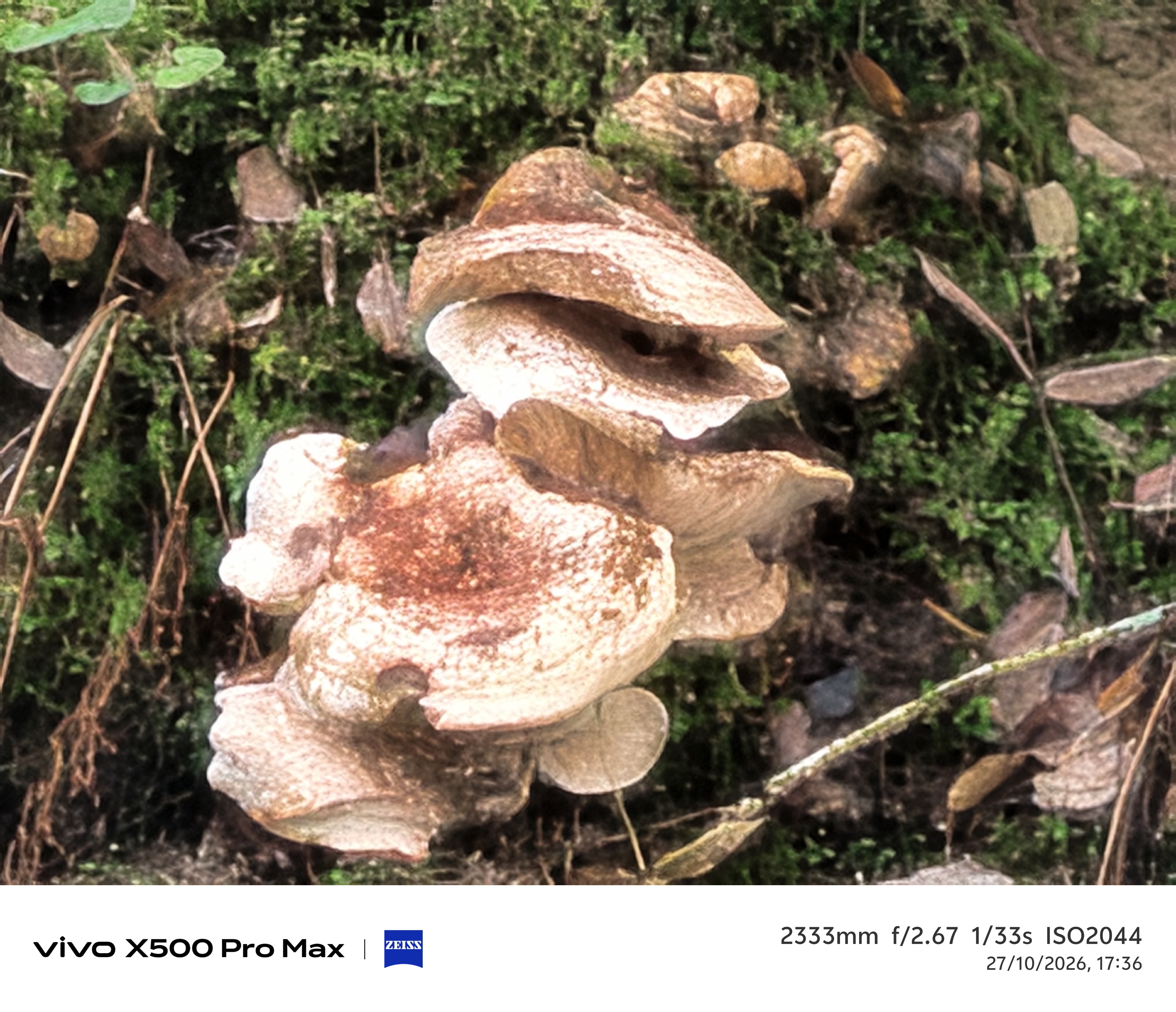 Geeknetic Vivo X500 Pro Max Review: un portento en fotografía con teleobjetivos Zeiss intercambiables que lleva la cámara móvil a otro nivel 91