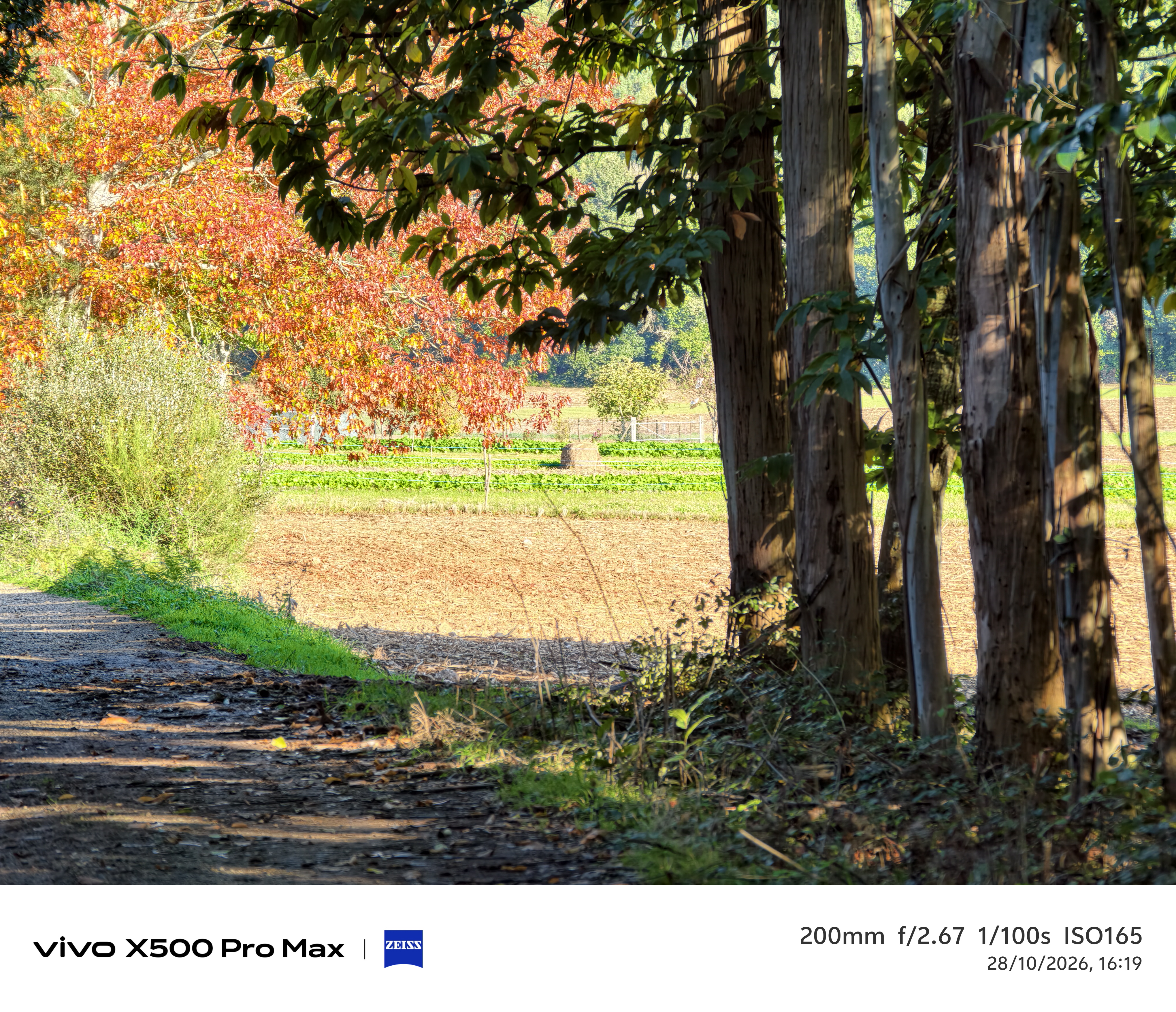 Geeknetic Vivo X500 Pro Max Review: un portento en fotografía con teleobjetivos Zeiss intercambiables que lleva la cámara móvil a otro nivel 97