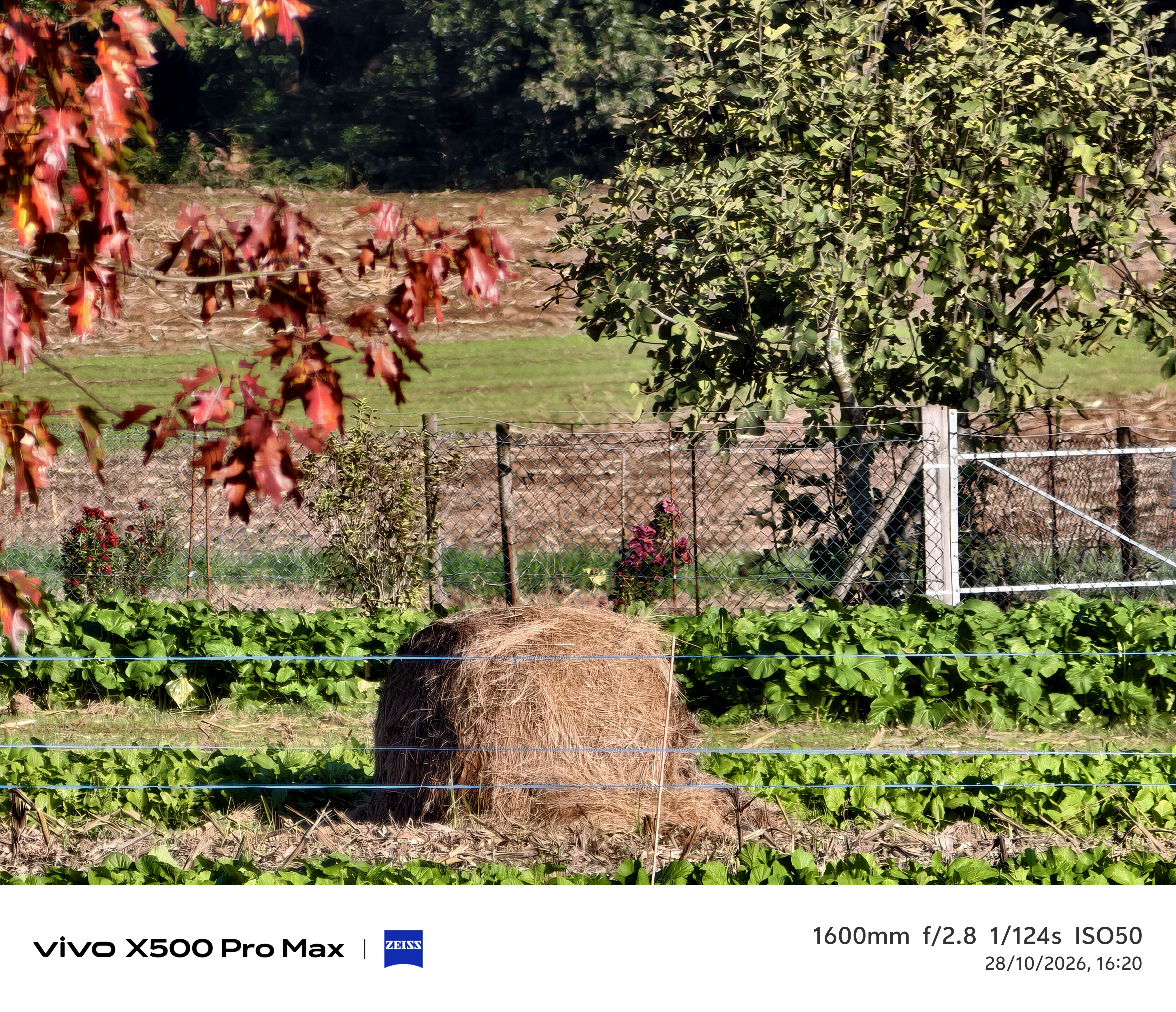 Geeknetic Vivo X500 Pro Max Review: un portento en fotografía con teleobjetivos Zeiss intercambiables que lleva la cámara móvil a otro nivel 100