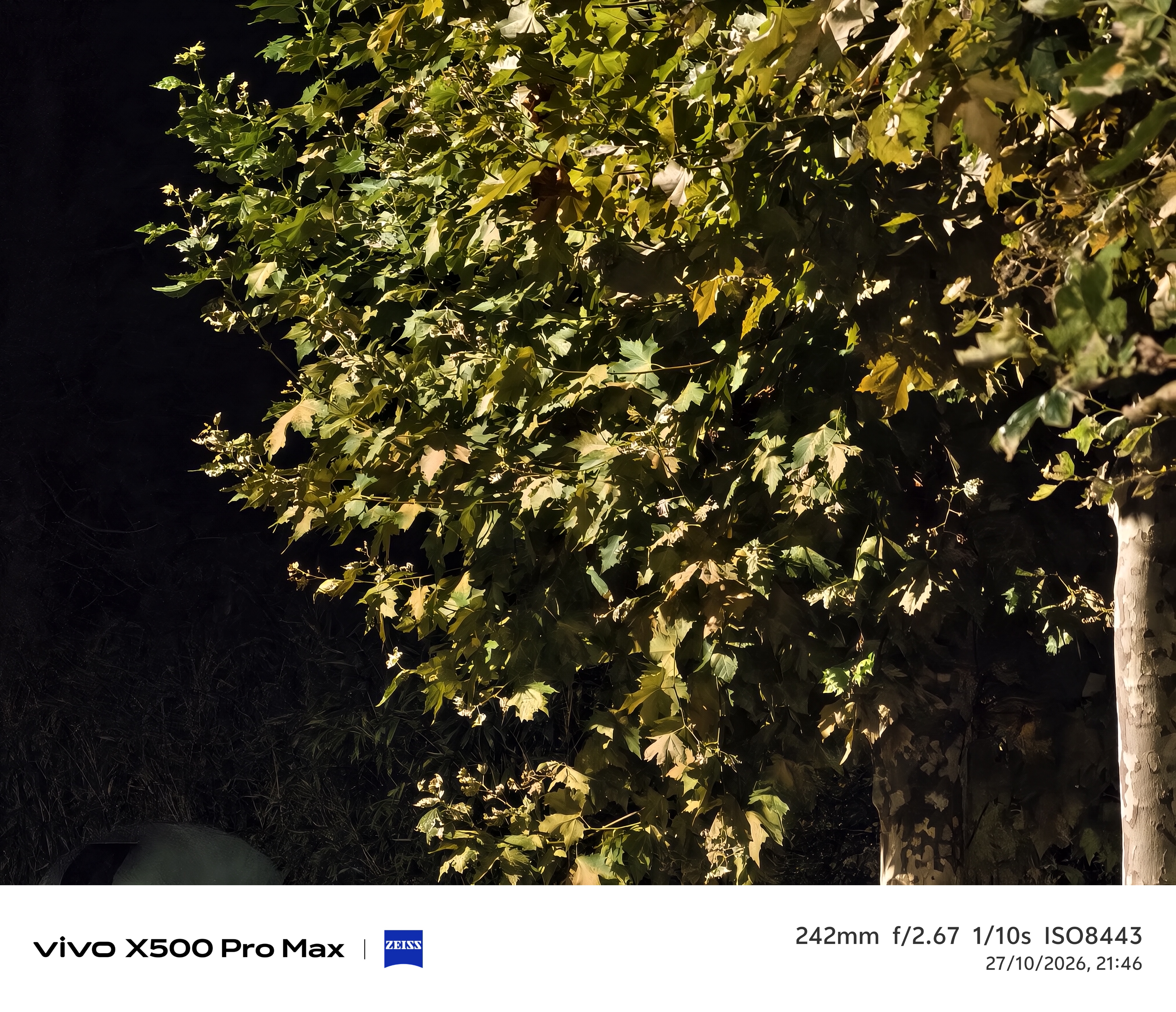 Geeknetic Vivo X500 Pro Max Review: un portento en fotografía con teleobjetivos Zeiss intercambiables que lleva la cámara móvil a otro nivel 54