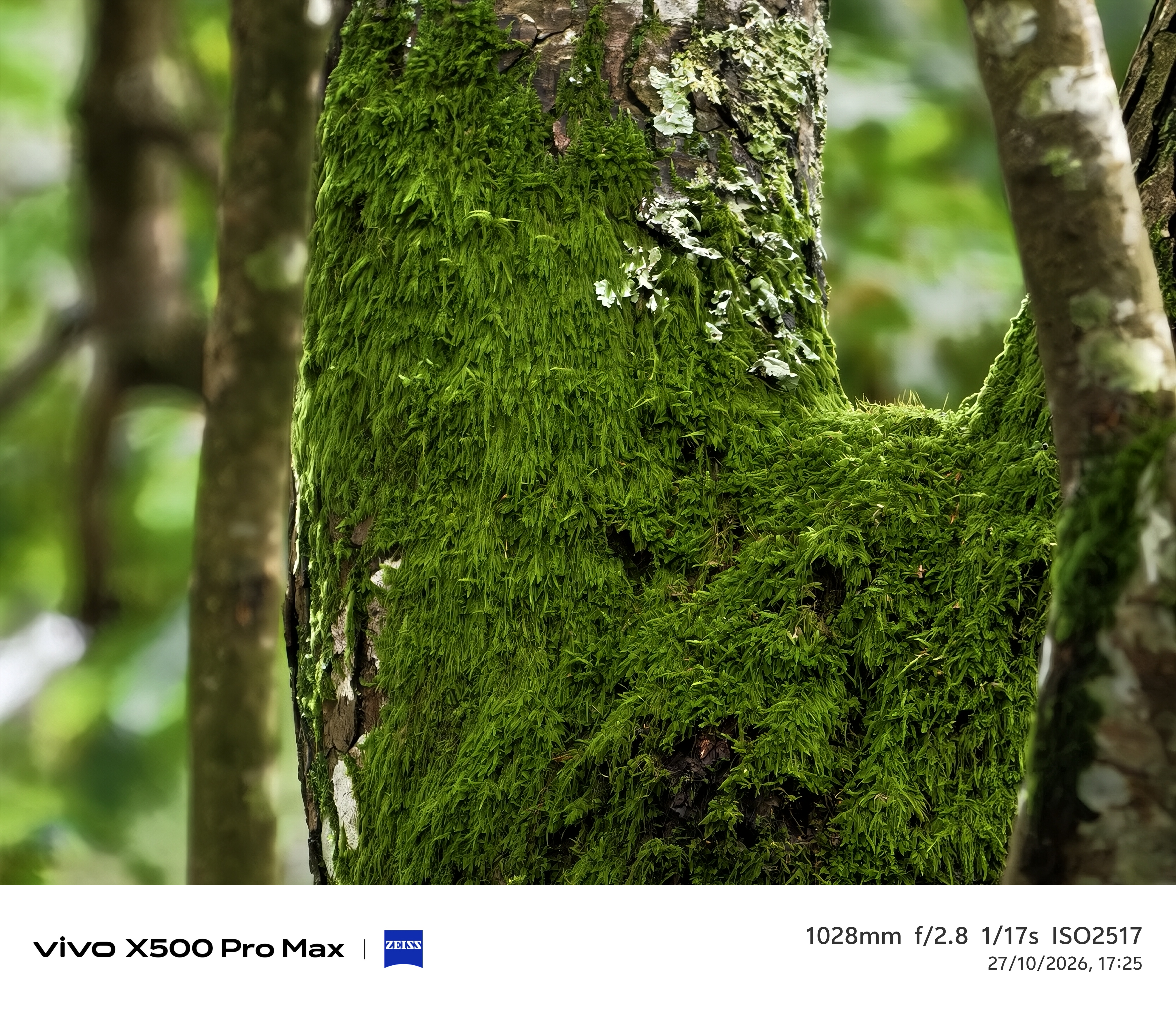 Geeknetic Vivo X500 Pro Max Review: un portento en fotografía con teleobjetivos Zeiss intercambiables que lleva la cámara móvil a otro nivel 39
