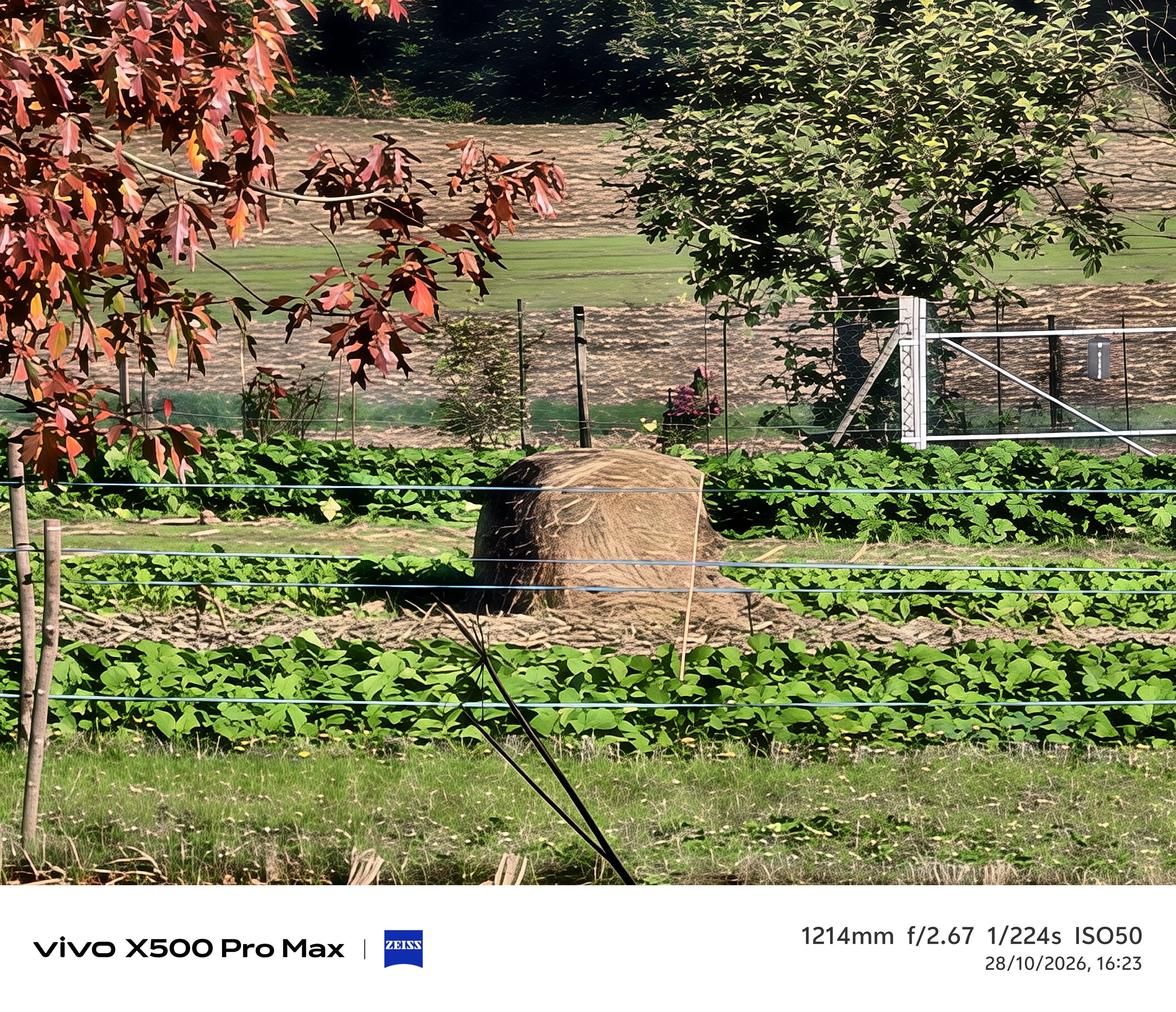 Geeknetic Vivo X500 Pro Max Review: un portento en fotografía con teleobjetivos Zeiss intercambiables que lleva la cámara móvil a otro nivel 95